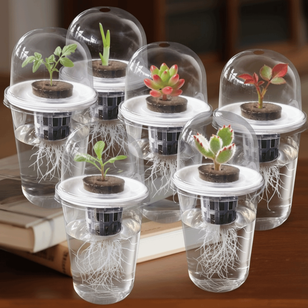 Hydroponic Grow Pod - 1-5 Stück Transparente Pflanzenkeimungsbecher, Hydroponische Saatgut-Pflanzgefäße,