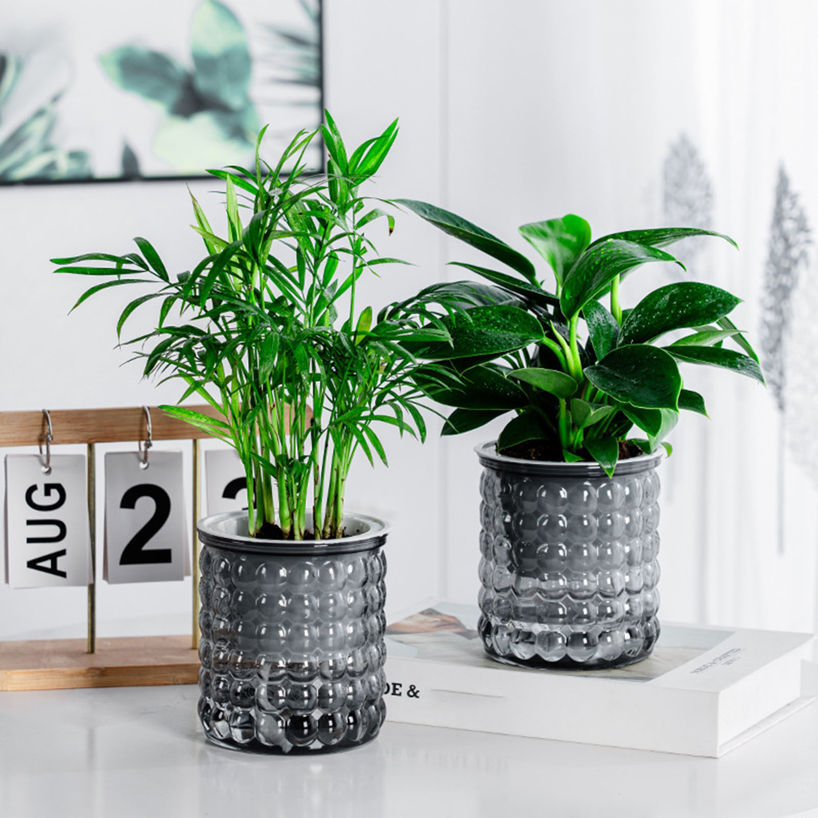 Hydroponic Grow Pod - Neue Selbst Bewässerung Hydrokultur Pflanzen Topf