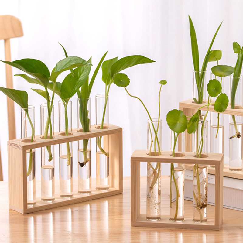 Hydroponic Grow Pod - Hydrokultur-Pflanzenbehälter mit Holzrahmen, transparentes Glas, Reagenzglas,