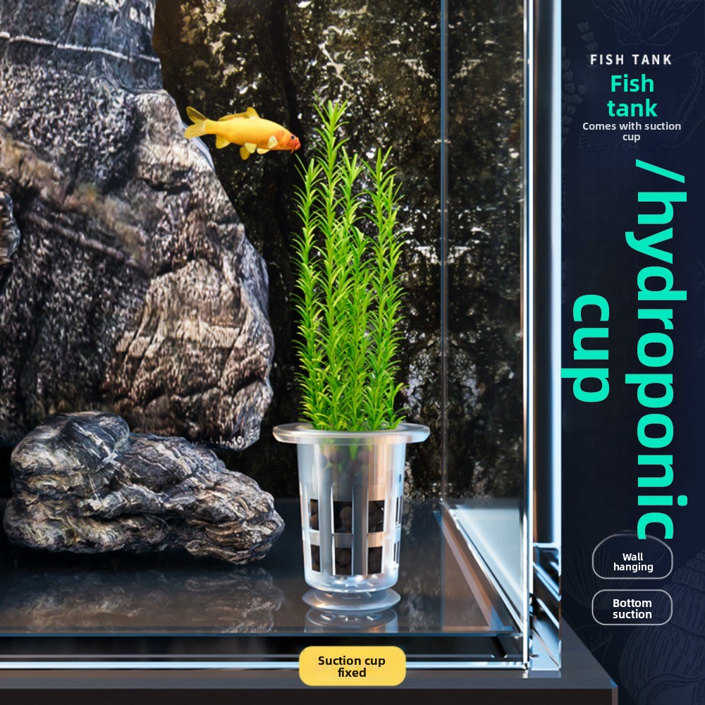 10 Stück Transparente Hydrokul – Hydroponic Grow Pod Bewertung und Preis