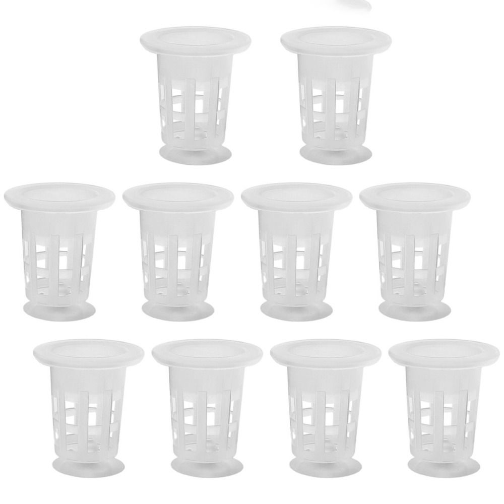 10 Stück Transparente Hydrokul – Hydroponic Grow Pod Bewertung und Preis