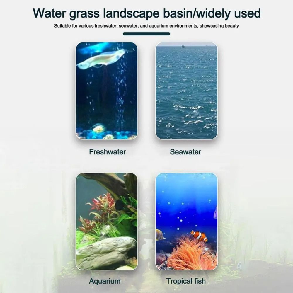 10 Stück Transparente Hydrokul – Hydroponic Grow Pod Bewertung und Preis