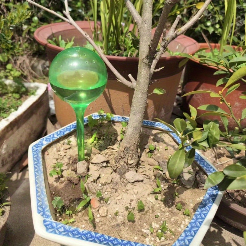 6 Stück Selbstbewässernde Bäll – Smart Garden Herb Bewertung und Preis