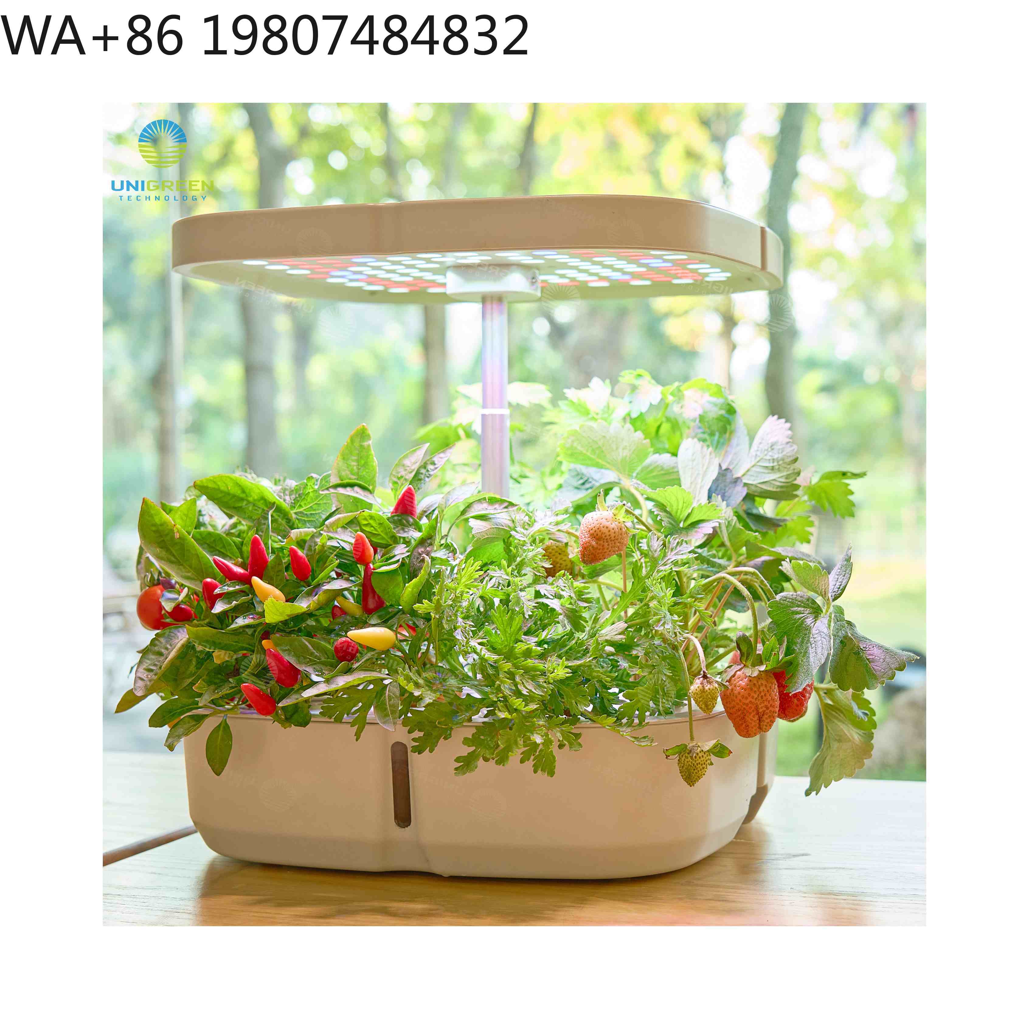 8-Pod Mini-Hydrokultur-Anzucht – Hydroponic Grow Pod Bewertung und Preis