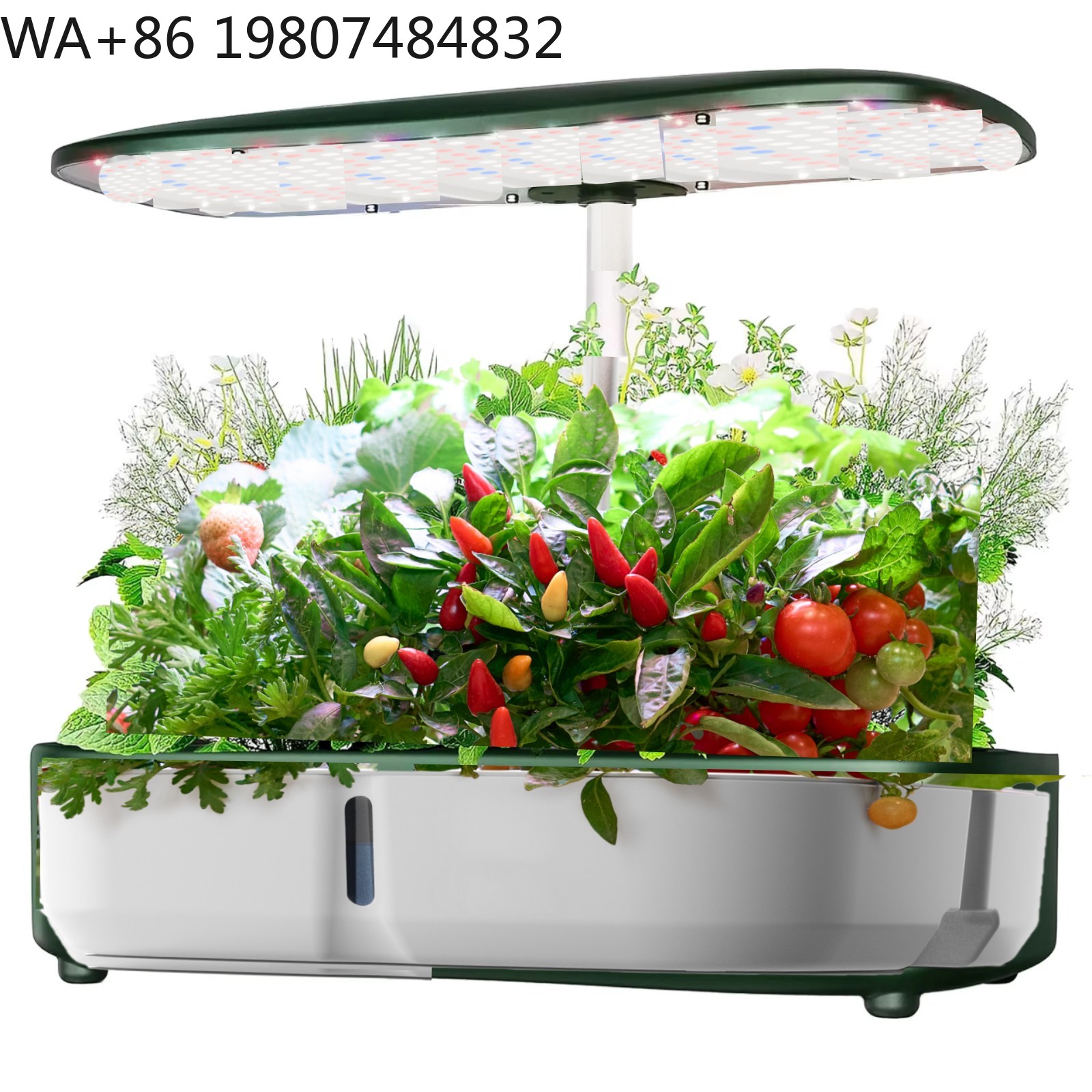 8-Pod Mini-Hydrokultur-Anzucht – Hydroponic Grow Pod Bewertung und Preis
