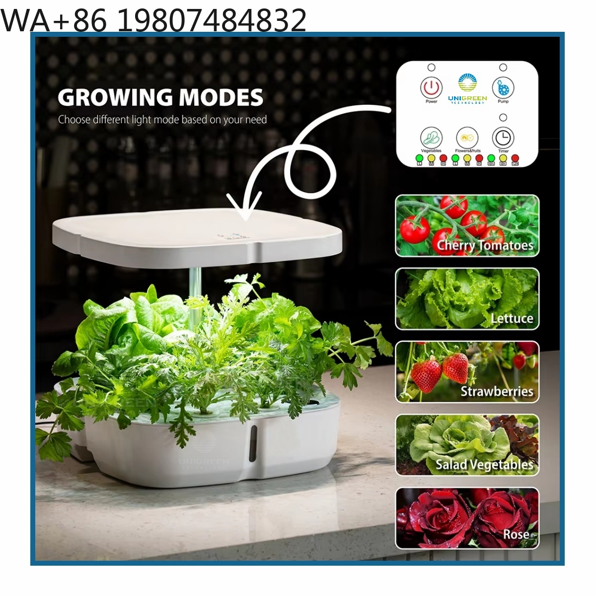 8-Pod Mini-Hydrokultur-Anzucht – Hydroponic Grow Pod Bewertung und Preis