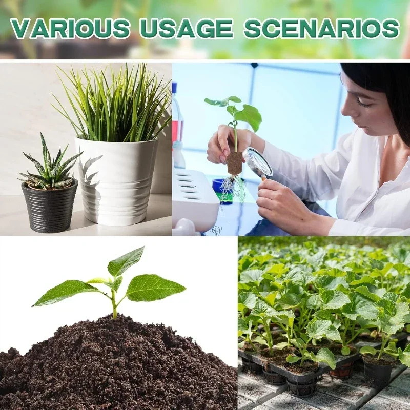 Setzling-Starter-Schwamm-Kit f – Hydroponic Grow Pod Bewertung und Preis