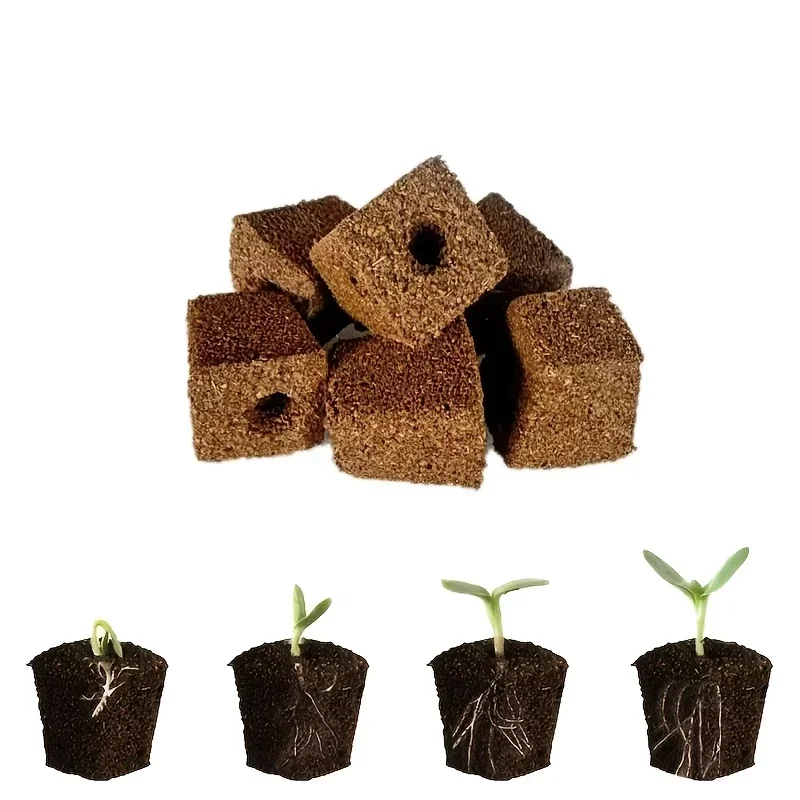 Setzling-Starter-Schwamm-Kit f – Hydroponic Grow Pod Bewertung und Preis