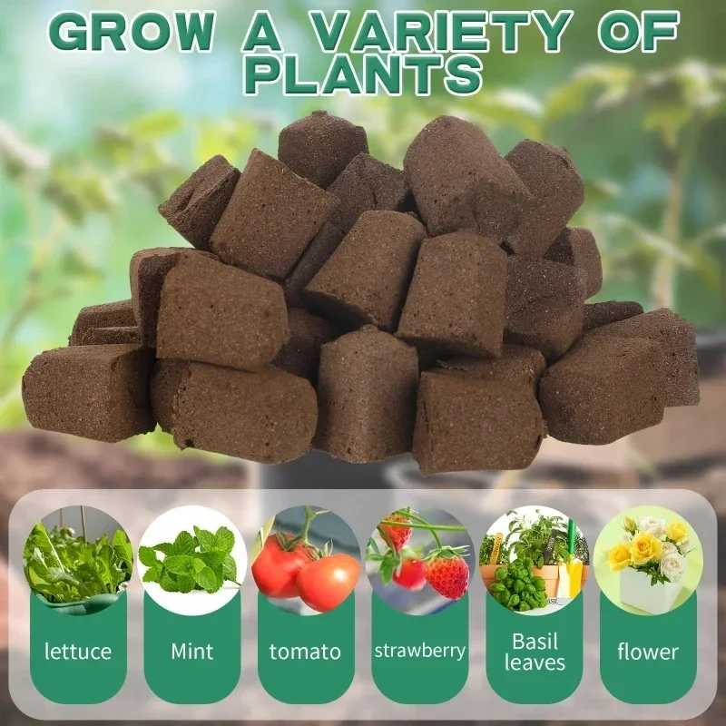 Setzling-Starter-Schwamm-Kit f – Hydroponic Grow Pod Bewertung und Preis