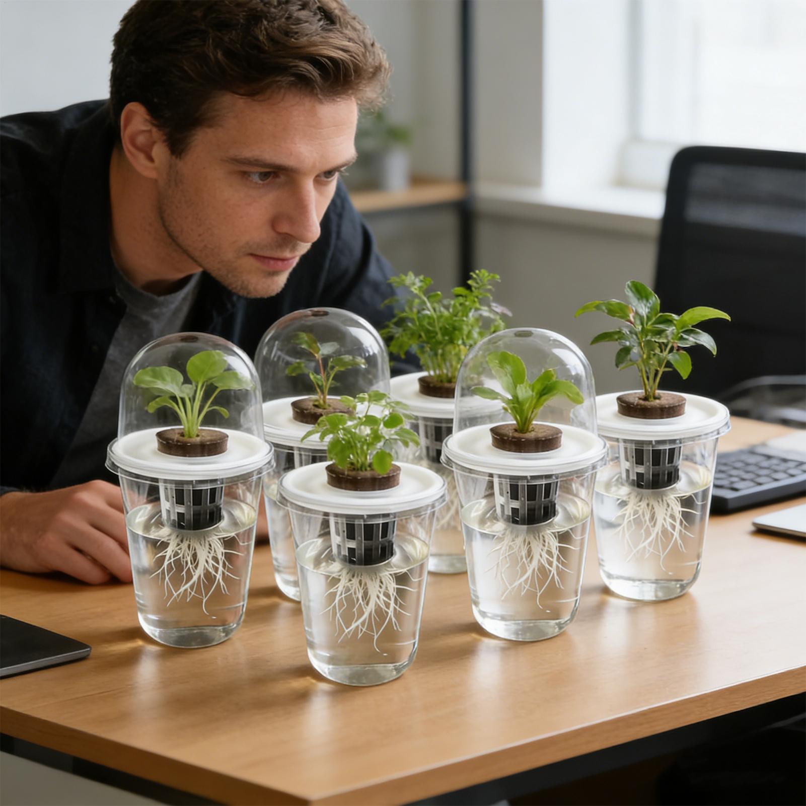 1-5 Stück Transparente Pflanze – Hydroponic Grow Pod Bewertung und Preis