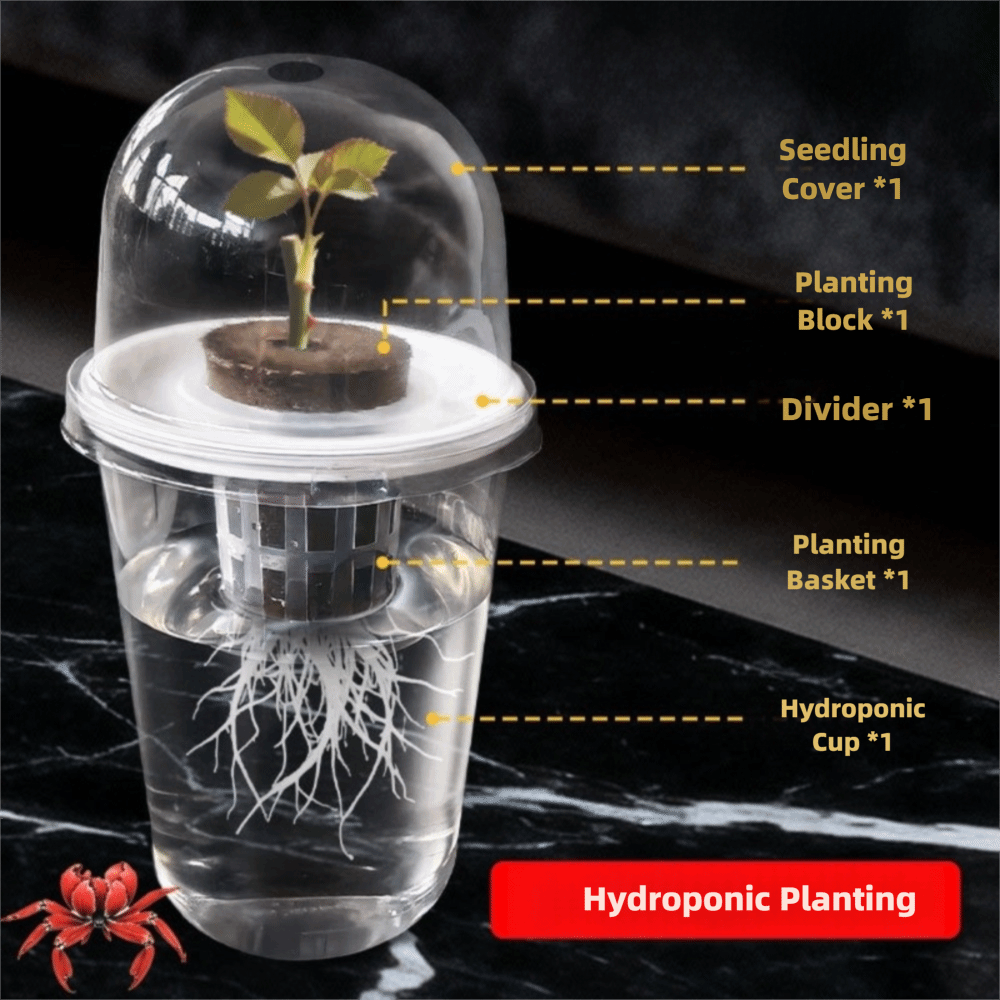 1-5 Stück Transparente Pflanze – Hydroponic Grow Pod Bewertung und Preis