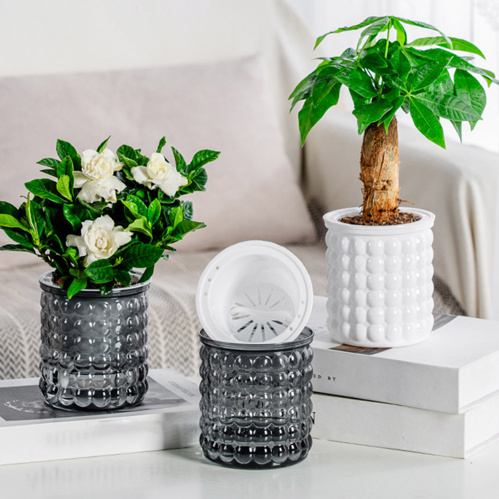 Neue Selbst Bewässerung Hydrok – Hydroponic Grow Pod Bewertung und Preis