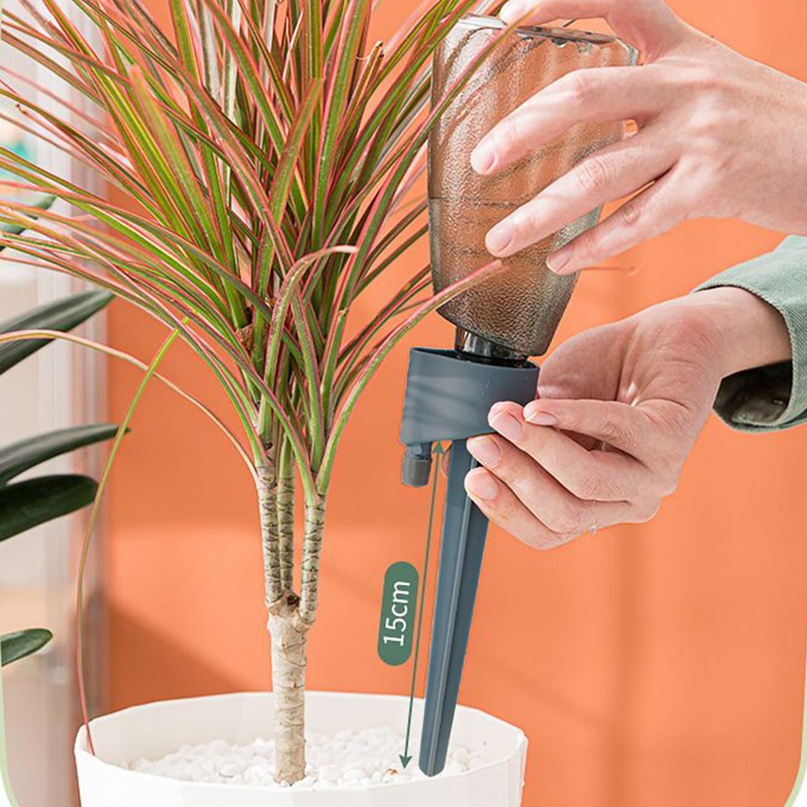 6-teiliges Automatisches Bewäs – Smart Garden Herb Bewertung und Preis
