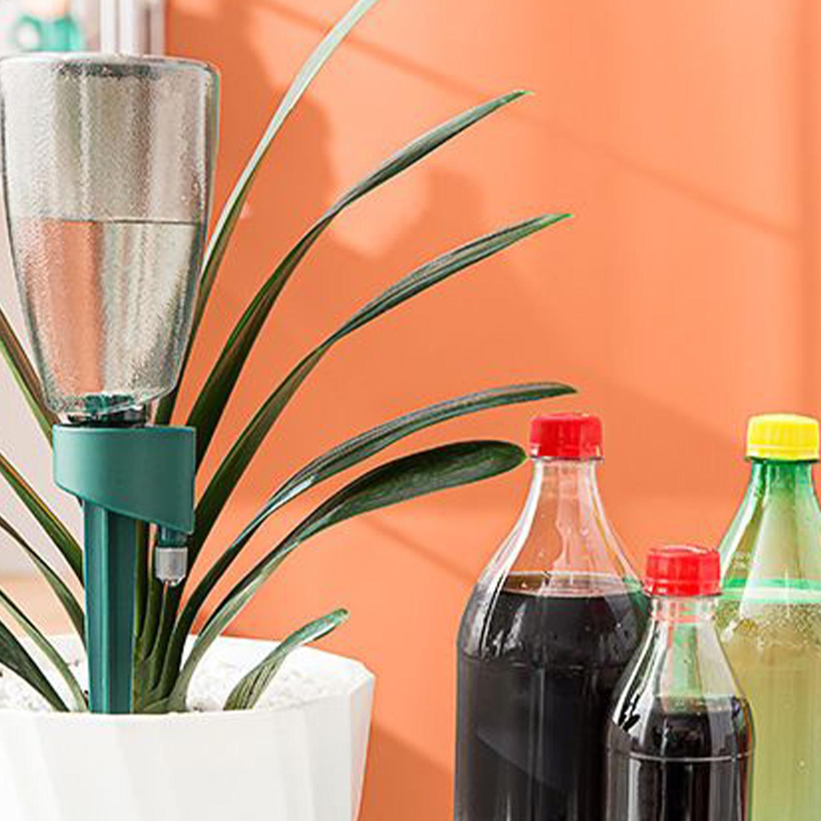 6-teiliges Automatisches Bewäs – Smart Garden Herb Bewertung und Preis