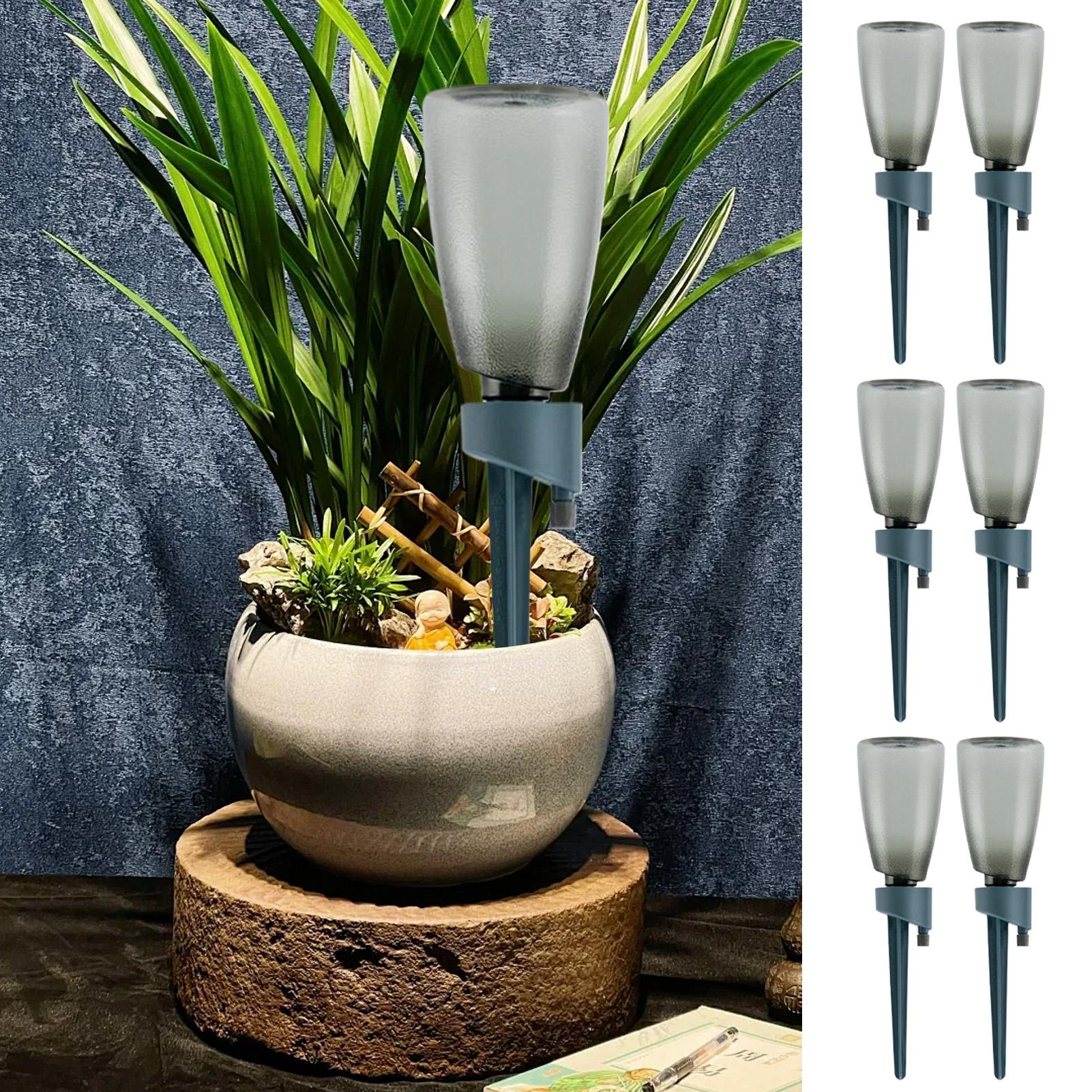 6-teiliges Automatisches Bewäs – Smart Garden Herb Bewertung und Preis
