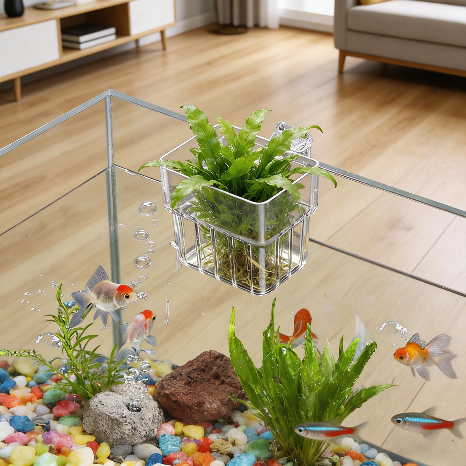 Transparenter Aquarium-Hängeto – Hydroponic Grow Pod Bewertung und Preis