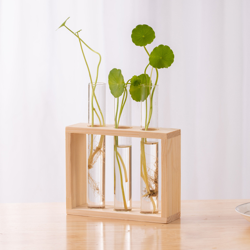 Hydrokultur-Pflanzenbehälter m – Hydroponic Grow Pod Bewertung und Preis