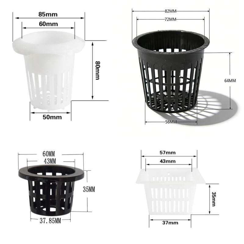 5/10 Stück Hydroponisches Kolo – Hydroponic Grow Pod Bewertung und Preis