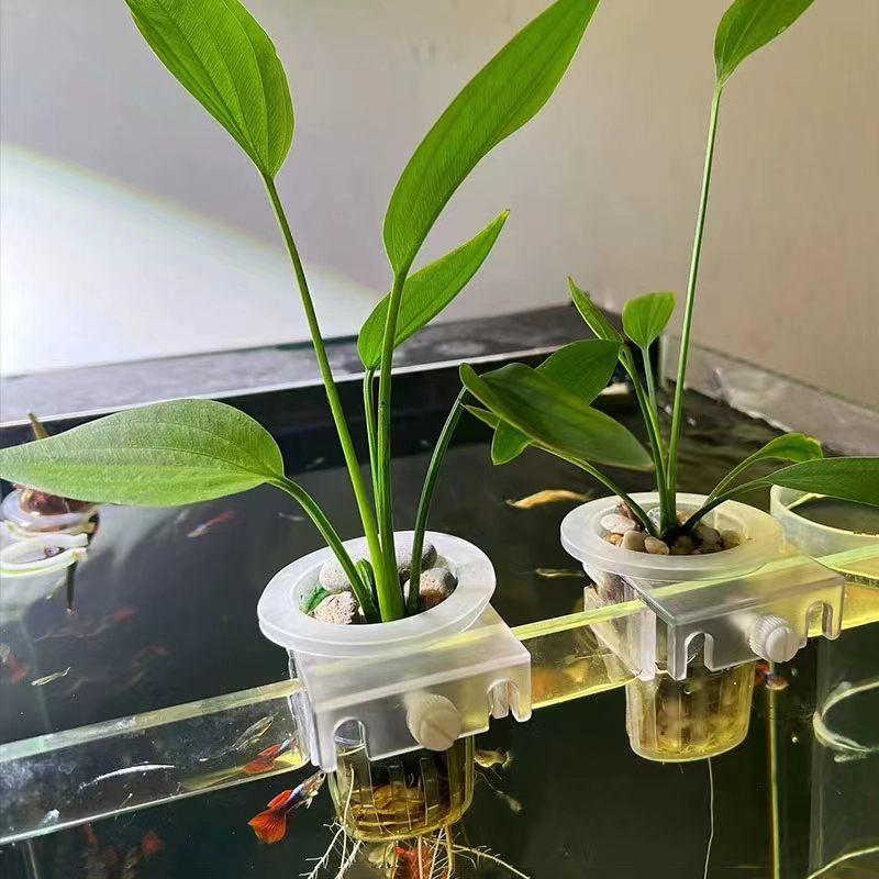 Aquarium Pflanzen Korb Hydroku – Hydroponic Grow Pod Bewertung und Preis