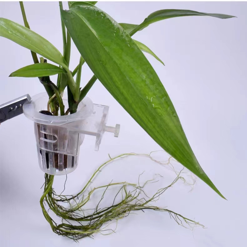 Aquarium Pflanzen Korb Hydroku – Hydroponic Grow Pod Bewertung und Preis