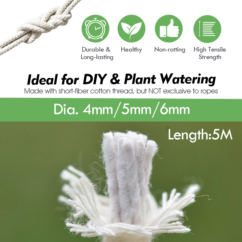 /6mm selbst bewässernde Baumwo – Smart Garden Herb Bewertung und Preis